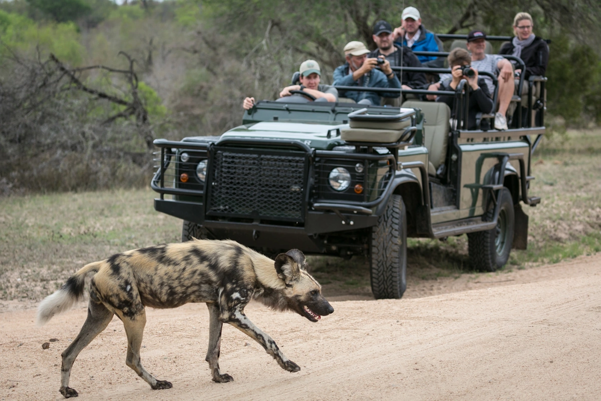 Umkumbe Safari Lodge Riverside gamedrive 002.webp