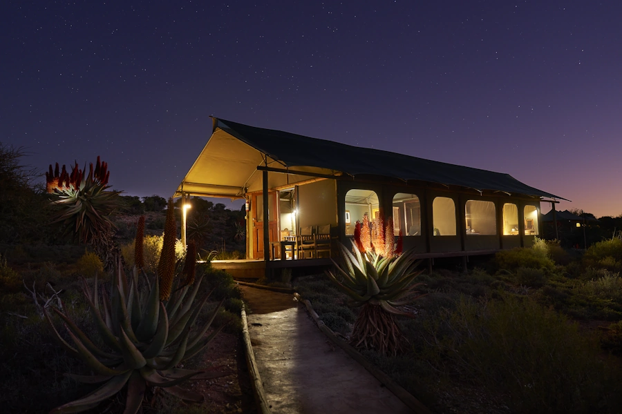 Buffelsdrift Game Lodge tent buitenkant.webp
