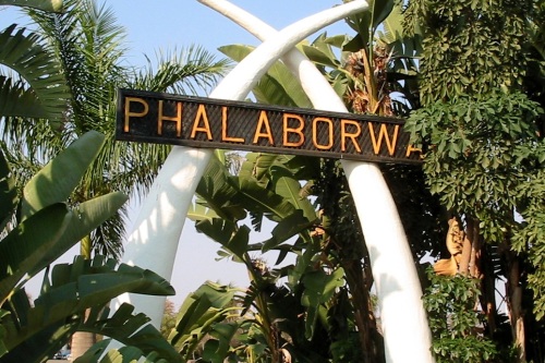 ZANOPHA