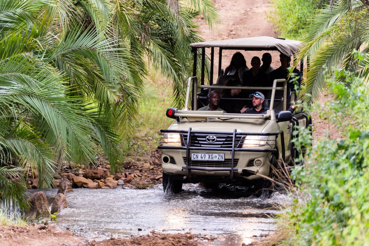 AfriCamps at Bonamanzi Game Reserve gamedrive 001.webp