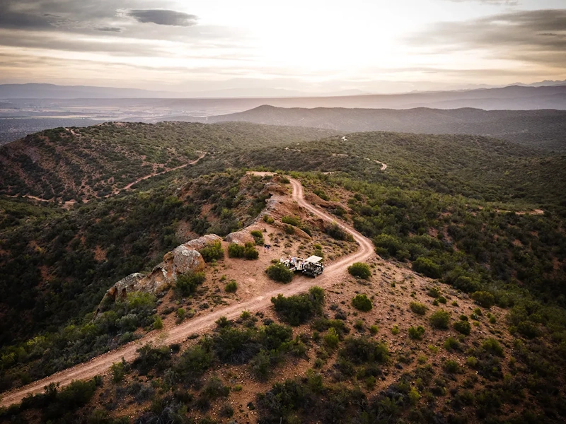 Buffelsdrift Game Lodge Gamedrive 010.webp