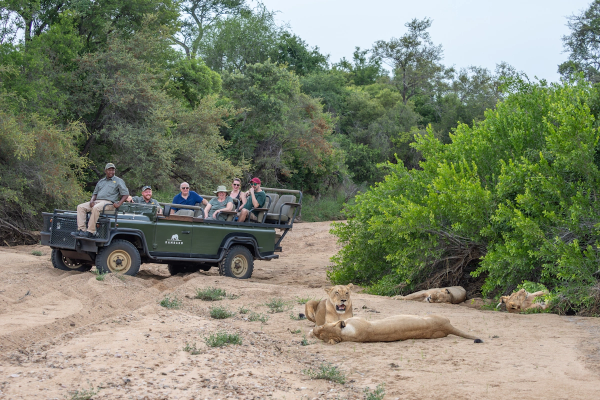 Familieavontuur door Zuid-Afrika Kambaku Safari Lodge gamedrive 002.webp
