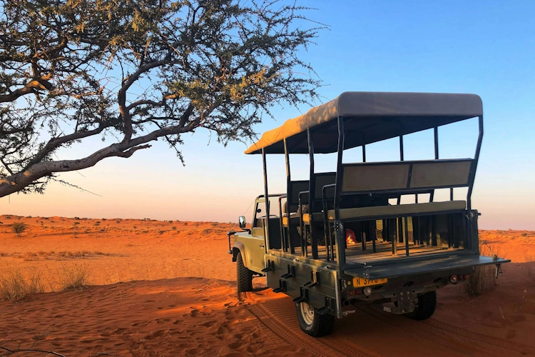 Kalahari Desert Photo by Bernd Dittrich.webp