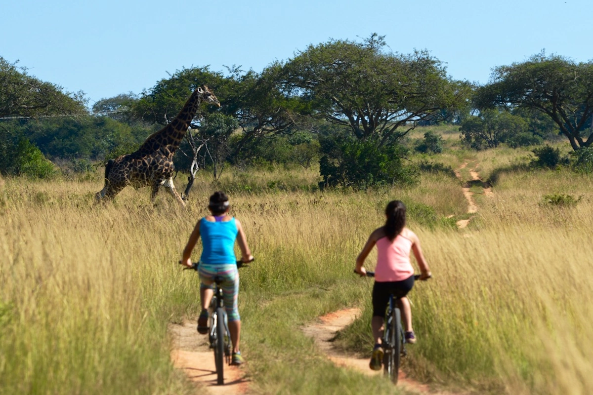 Tomjachu Bush Retreat activiteiten mountain bike 001.webp