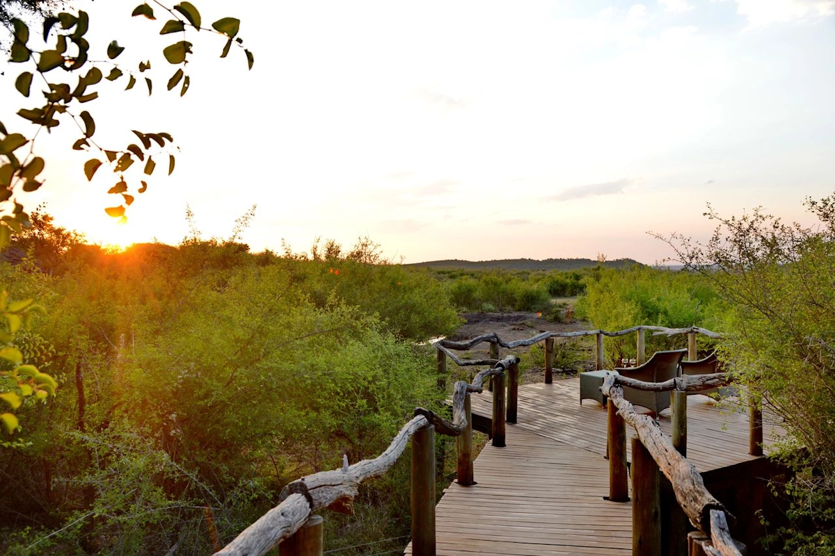 Motswiri Private Safari sunset deck 001.webp