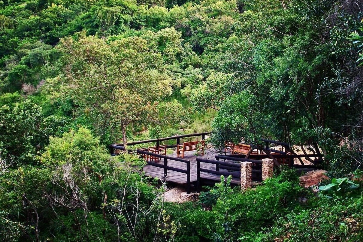 Phophonyane Falls Eco Lodge sundeck 002.webp