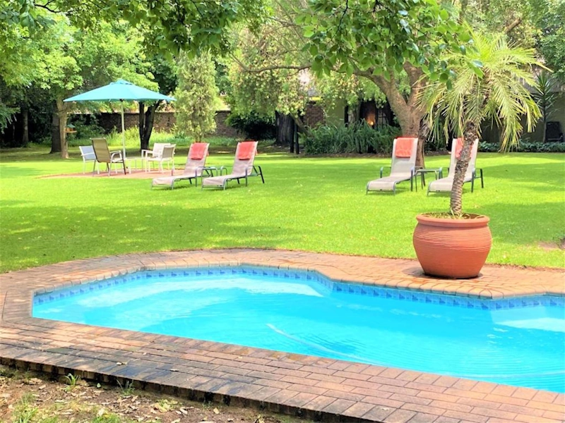 The Safari Club zwembad.webp