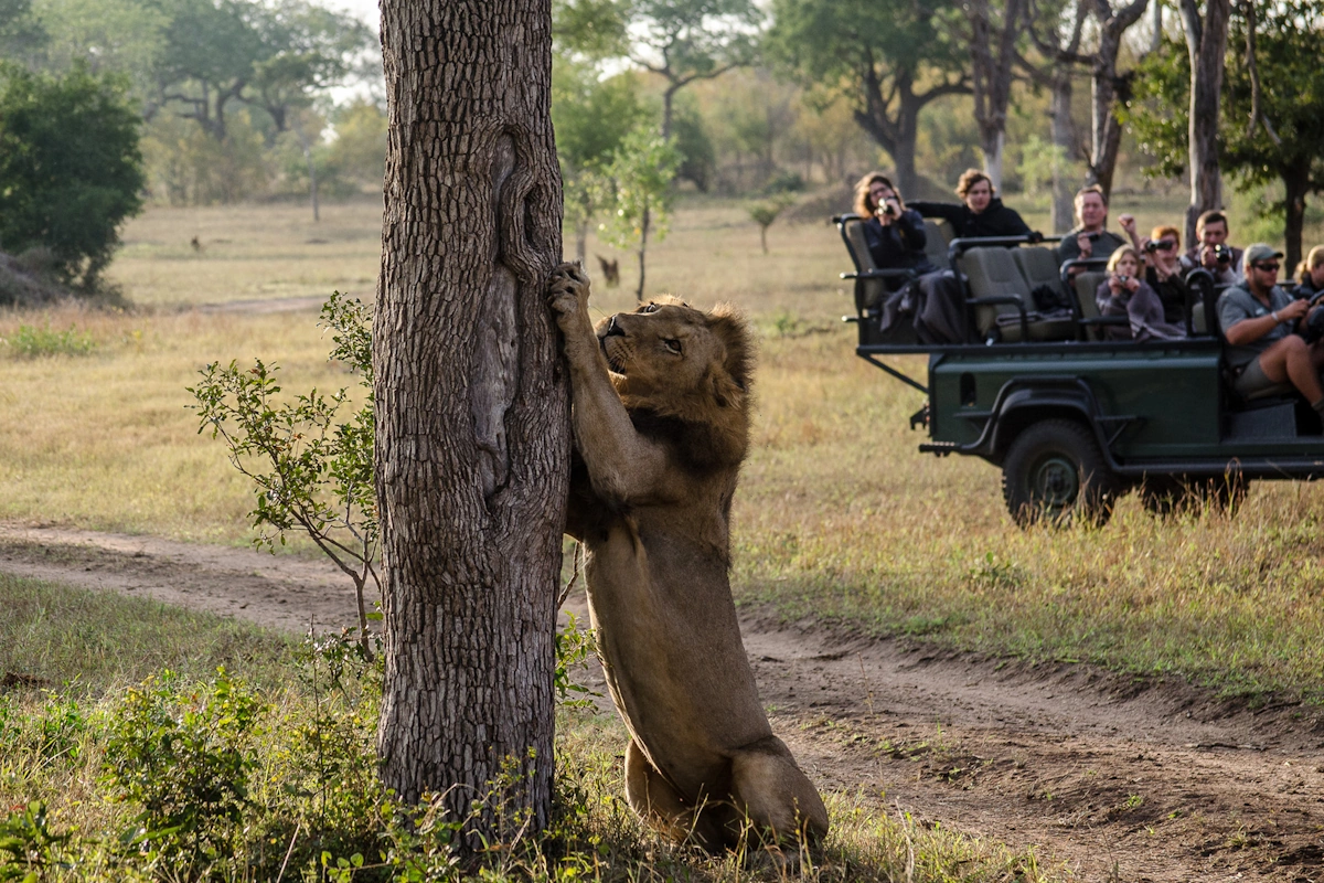 Umkumbe Safari Lodge Riverside gamedrive 001.webp