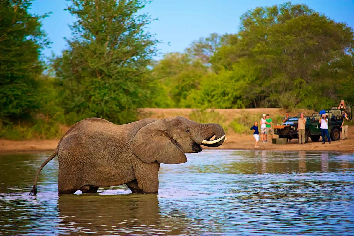 nThambo Tree Camp Gamedrive 001.webp