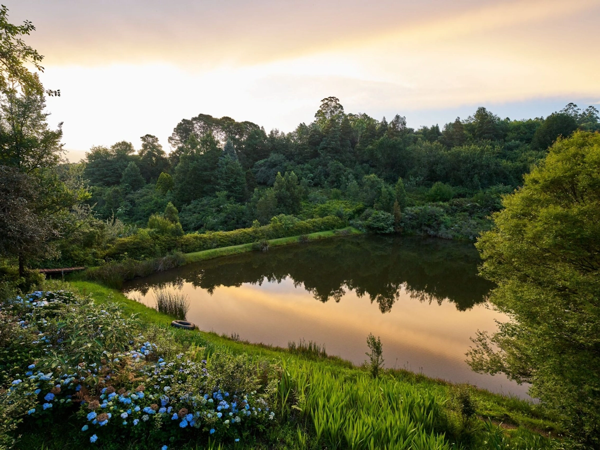 AfriCamps Magoebaskloof omgeving 001.webp