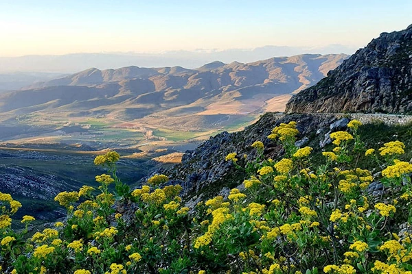 Full-Day Eco & Cultural Tour.webp