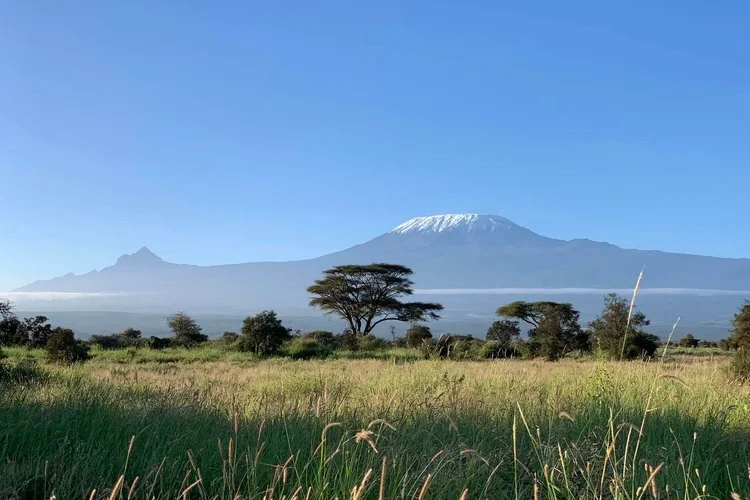 Amboseli Discovery Camp omgeving.webp