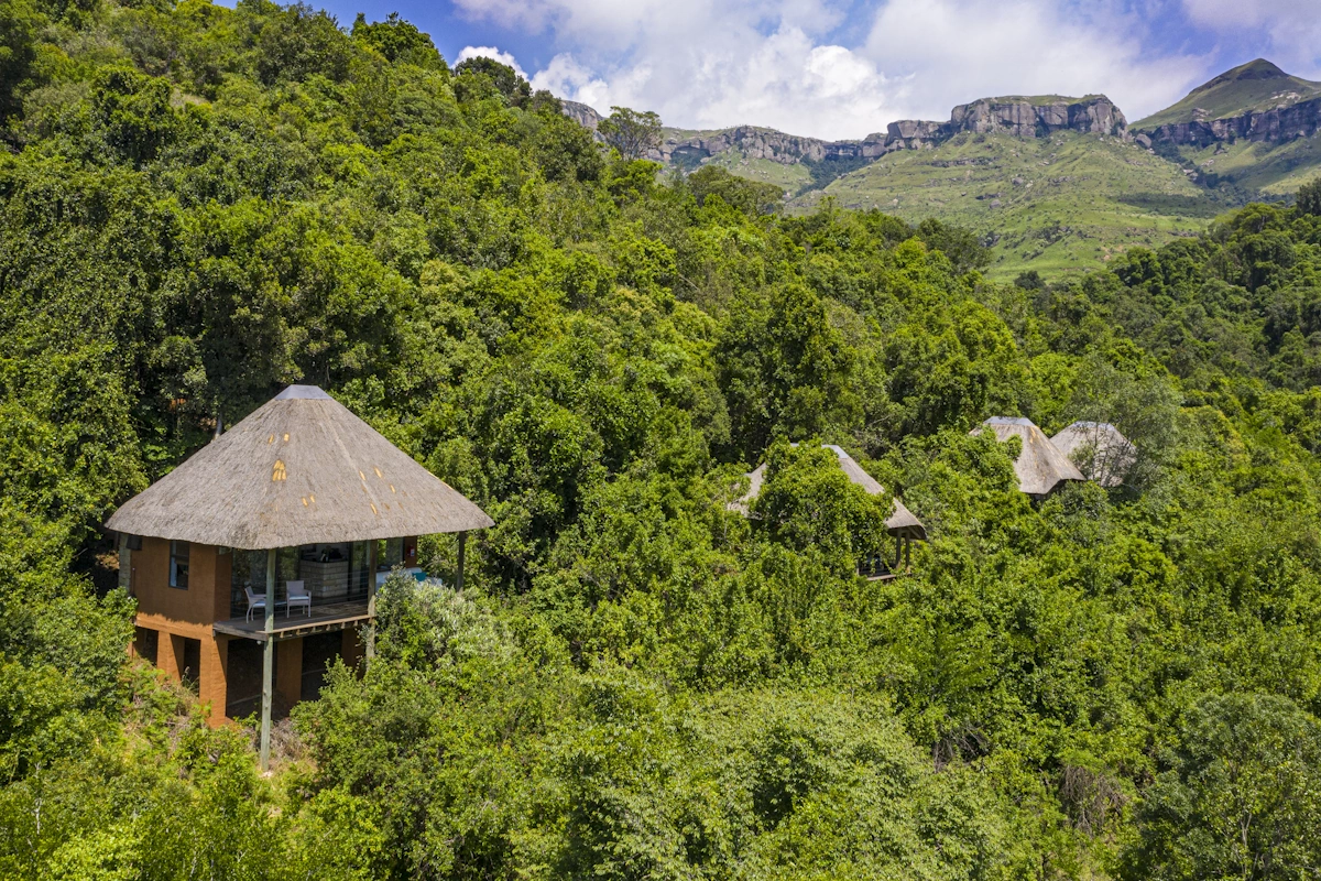 The Cavern Drakensberg Resort & Spa forest retreat 001.webp