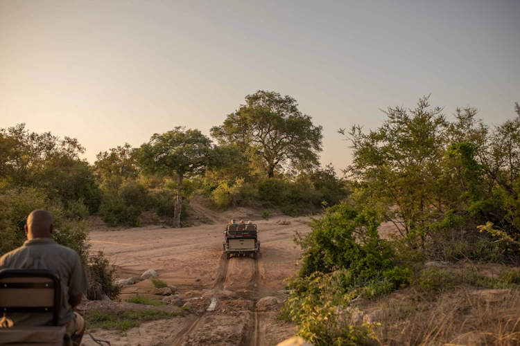Bateleur Safari Camp gamedrive 002.webp
