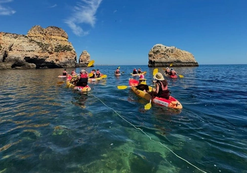 1 Hour Harbour Secrets Kayak Tour.webp