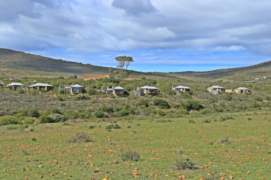 Garden Route Game Lodge vrijstaande huisjes.webp