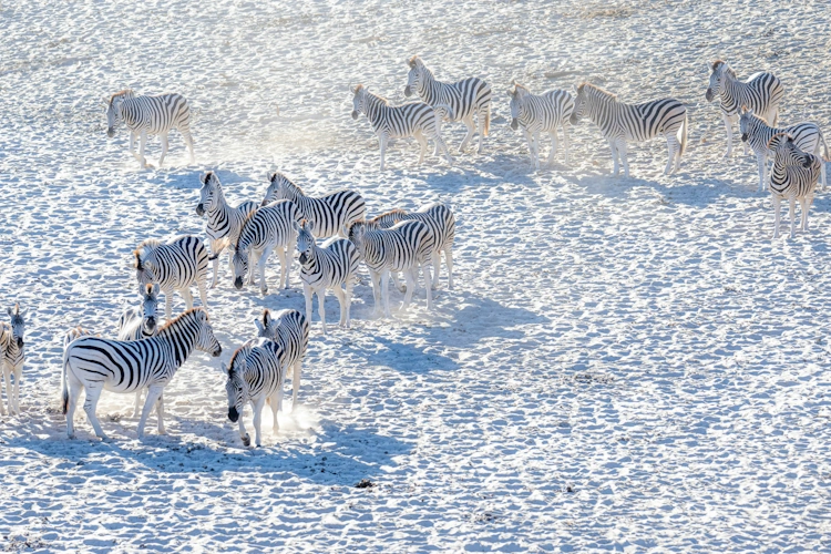 Makgadikgadi Pans Photo by Birger Strahl.webp