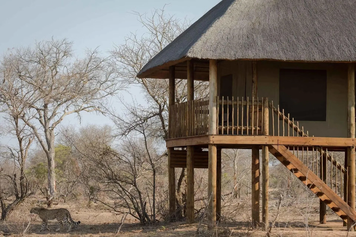 nThambo Tree Camp chalet van buiten 001.webp