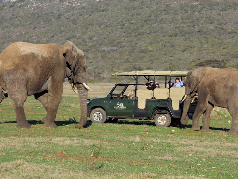 Garden Route privéwildreservaat.webp