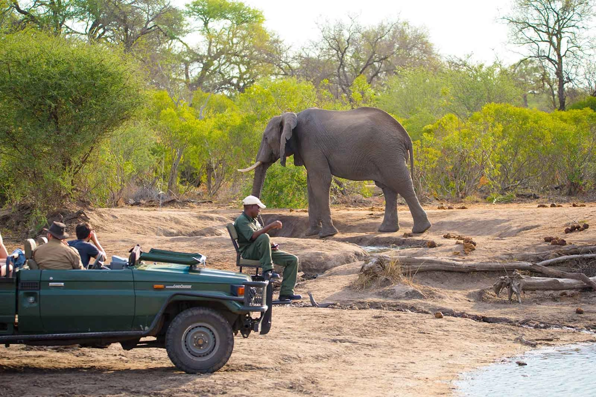 nThambo Tree Camp Gamedrive 003.webp