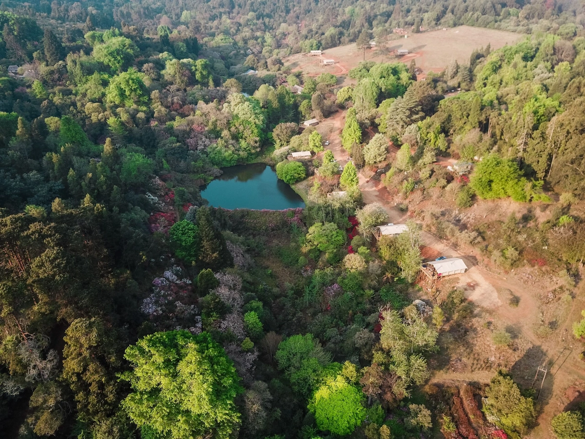 AfriCamps Magoebaskloof tent overview 002.webp