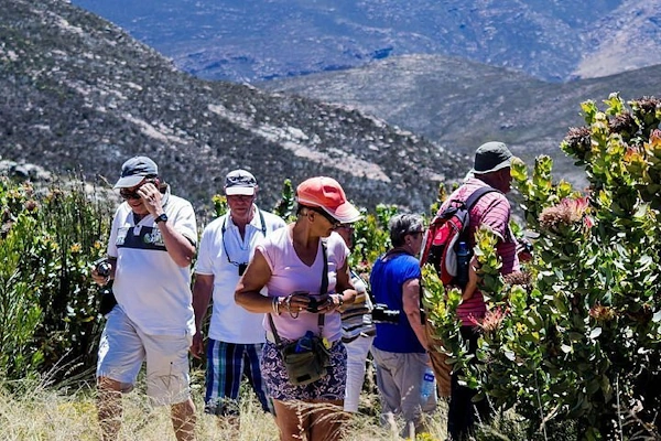 Swartberg Tour & Lunch.webp