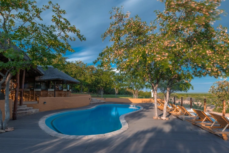 Mopane Bush Lodge zwembad 002.webp